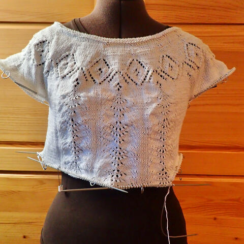 Work in Progress: Gorgeous knitted top for spring and summer season
