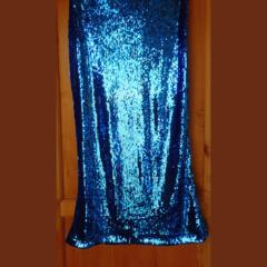 Sequins Long Skirt